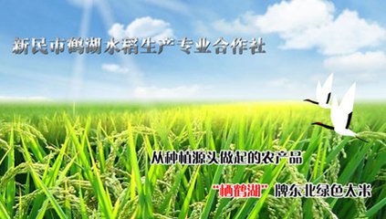 新民市鶴湖水稻生產(chǎn)專業(yè)合作社